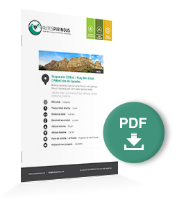 pdf-ruta