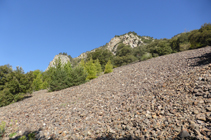 Tarteres en el Solà de Andorra.