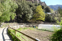 Huertos e invernaderos en el Rec del Solà.