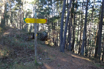 Palo indicador en el camino de Ribes de Freser a la ermita de Sant Antoni.