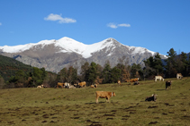 Cimas de la Coma del Clot y el Torreneules con las gargantas del Freser.