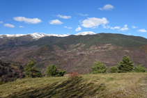 Las pinedas de sierra Estremera, el pueblecito de Ventolà y el Puigmal al fondo.