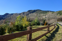 Bosques de la sierra de Montgrony desde el Baell.