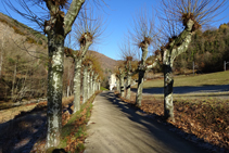 Jardines del balneario de Montagut.