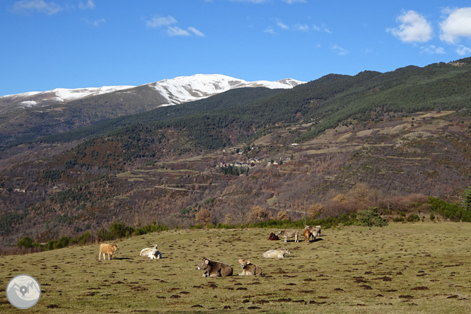 Por Campelles y Ribes de Freser bajo la mirada del Taga 1 