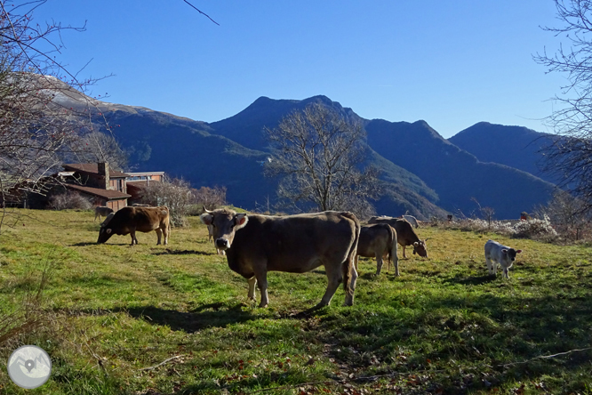 Por Campelles y Ribes de Freser bajo la mirada del Taga 1 