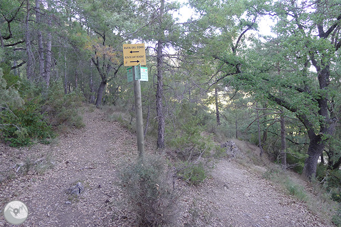 Roca del Corb y Roc de Cogul desde Peramola 1 