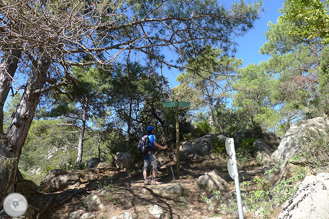 Roca del Corb y Roc de Cogul desde Peramola 1 