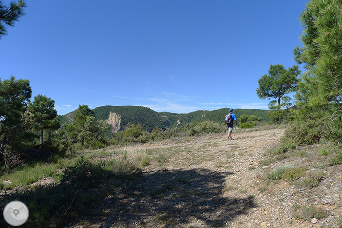 Roca del Corb y Roc de Cogul desde Peramola 1 