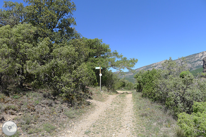 Roca del Corb y Roc de Cogul desde Peramola 1 