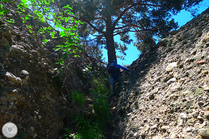 Roca del Corb y Roc de Cogul desde Peramola 1 