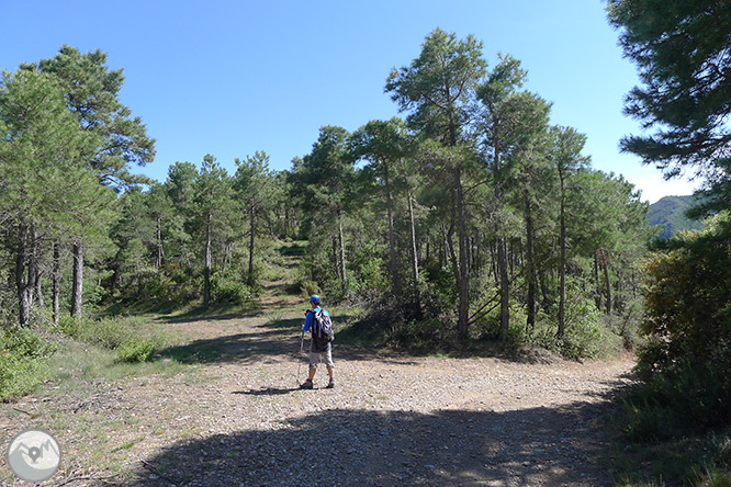 Roca del Corb y Roc de Cogul desde Peramola 1 