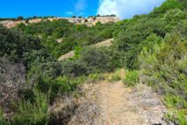 Camino hacia Sant Honorat.