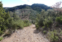 Pista de tierra y fuerte bajada.