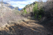 Llegamos al cruce pista - sendero. Las dos opciones nos llevan hacia la iglesia de Santa María de Castell-llebre.