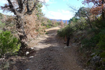 Cadena metálica y desvío de Castell-llebre.