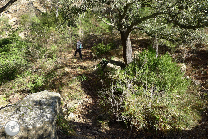 Ruta circular por la sierra de Sant Honorat 1 