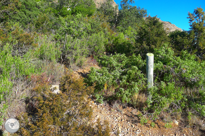 Ruta circular por la sierra de Sant Honorat 1 