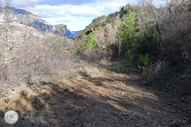 Ruta circular por la sierra de Sant Honorat 1 