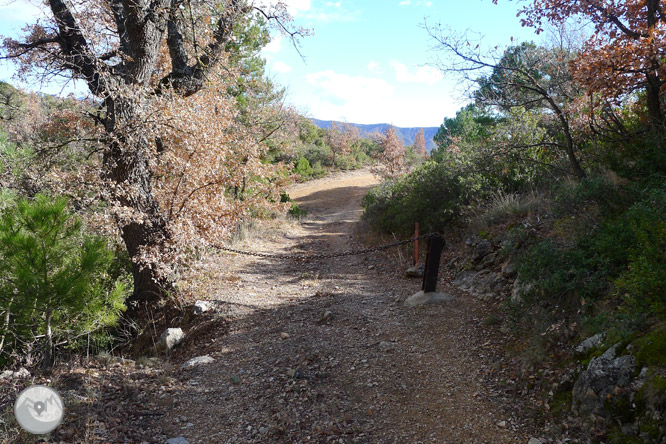 Ruta circular por la sierra de Sant Honorat 1 