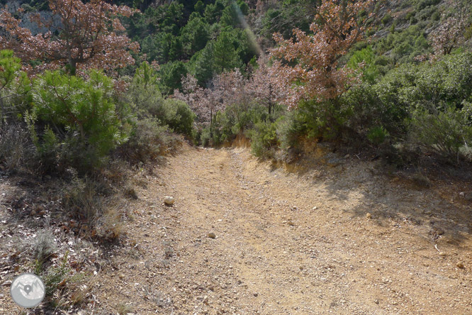 Ruta circular por la sierra de Sant Honorat 1 