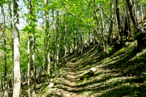 Castañeda camino a Les Illes.