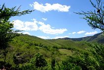 Bosques del macizo de las Salines.