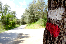 GR 11 camino de las Mines.