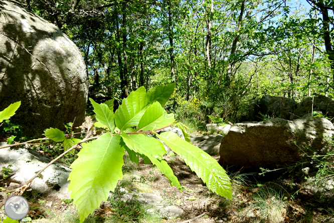 Ruta del Exilio de La Vajol 1 