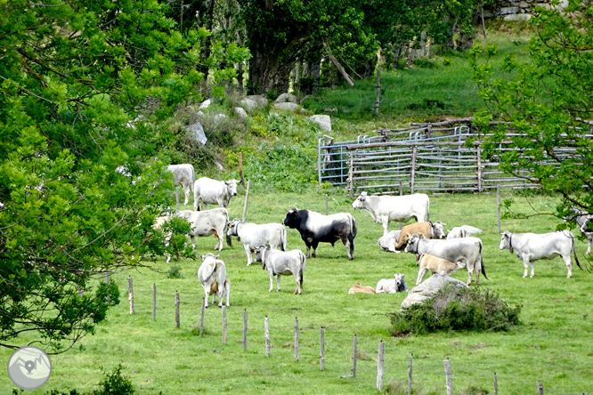 Ruta del Exilio de La Vajol 1 