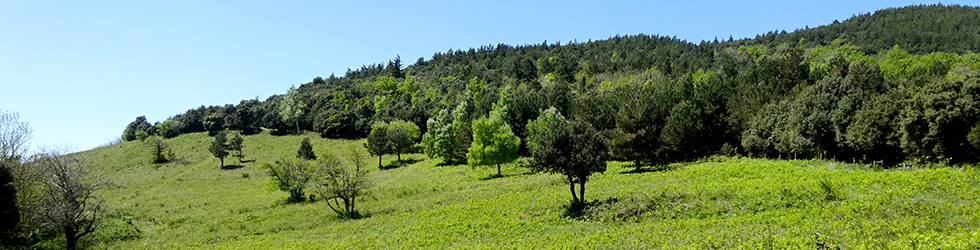 Ruta del Exilio de La Vajol