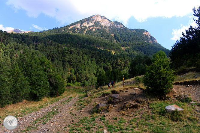 Ruta de la fauna de Senet 1 