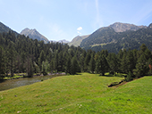 Planell de Aigüestortes y Estany de la Llebreta