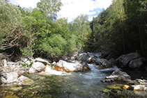 Río de Sant Nicolau, hábitat natural de la nutria (aunque es muy difícil verla).