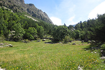 Bonito prado de alta montaña.