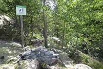 Fuente de la Cueva del Sardo.