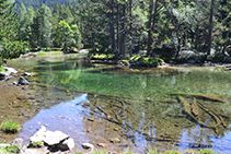 Agua cristalina en Aigüestortes.