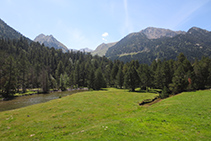 Planell de Aigüestortes.