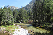 Aigüestortes: el río de Sant Nicolau avanza pausadamente entre prados y bosques.