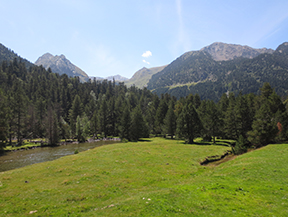 Planell de Aigüestortes y Estany de la Llebreta