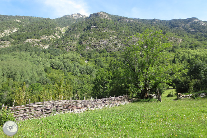 Planell de Aigüestortes y Estany de la Llebreta 1 