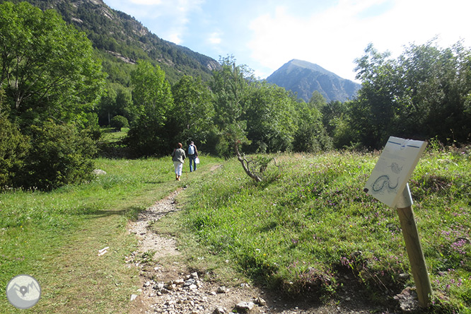 Planell de Aigüestortes y Estany de la Llebreta 1 