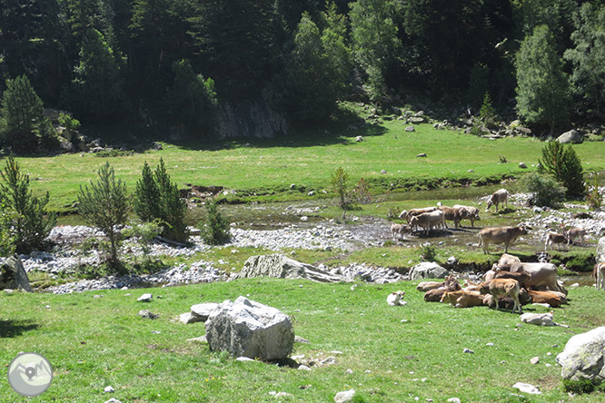 Planell de Aigüestortes y Estany de la Llebreta 1 