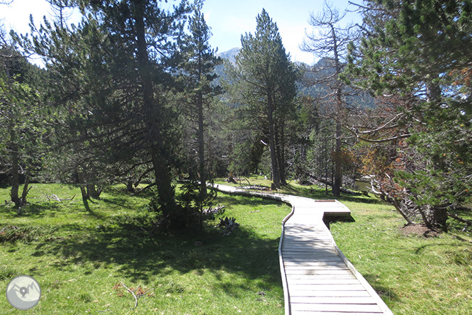 Planell de Aigüestortes y Estany de la Llebreta 1 