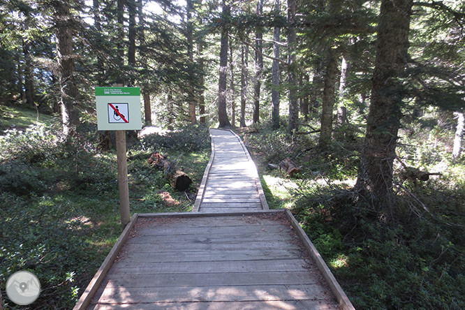 Planell de Aigüestortes y Estany de la Llebreta 1 