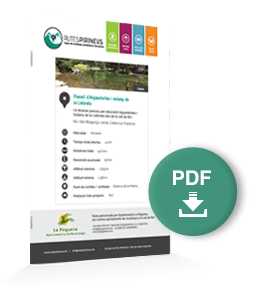pdf-ruta