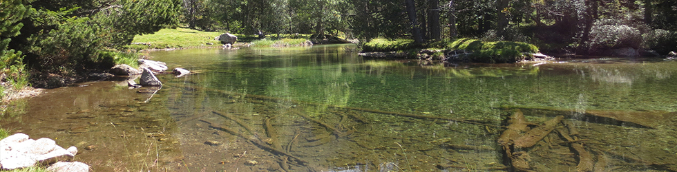 Planell de Aigüestortes y Estany de la Llebreta