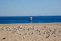 Playa de Lloret de Mar.