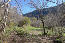 Llegamos al fondo del valle y nos encontramos el desvío de la fuente de Canemassos.