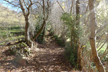 Continuamos por un sendero muy bonito remontando el valle.